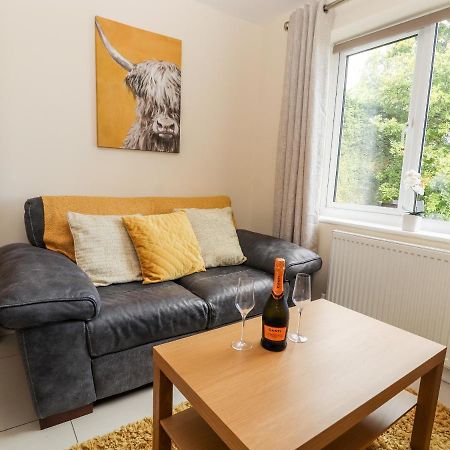 Vila Hafan Fach Mold Exteriér fotografie
